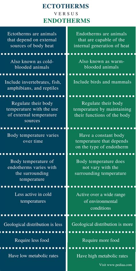 Diferencia entre ectotermos y endotermos | Definición, características ...