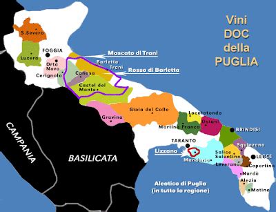 Top 10 Negroamaro Wines from Puglia