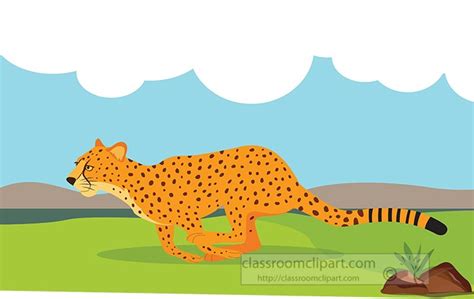 Cheetah Clipart Clipart - cheetah-running-in-african-savana-vector ...