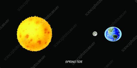 Spring Tide - Stock Image - C004/8124 - Science Photo Library