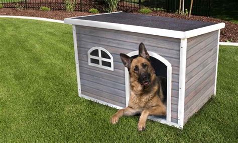 Dog House For German Shepherd | PETSIDI