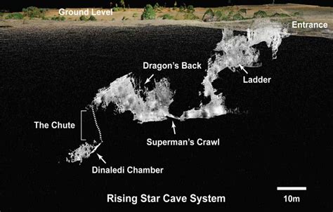 Deliberate Deposition and Homo Naledi in Rising Star Cave System