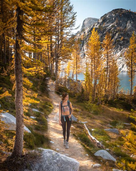 The Best Golden Larch Hiking Trails In Washington State - Jess Wandering