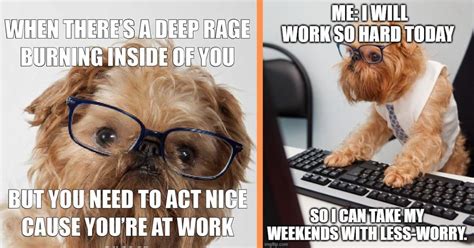 33 Silliest Dog at Work Memes For Your Lunch Break - Animal Comedy ...