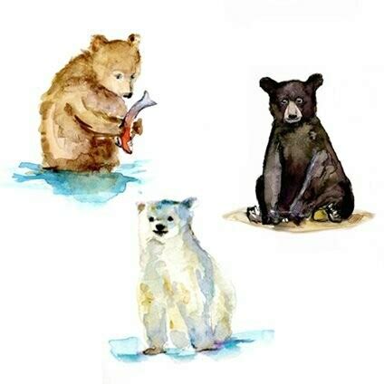 Polar, grizzly, black bear cub watercolor art prints