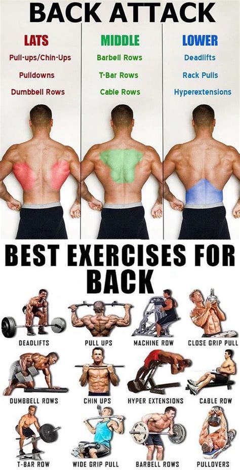 Best Exercises for Back and Shoulders