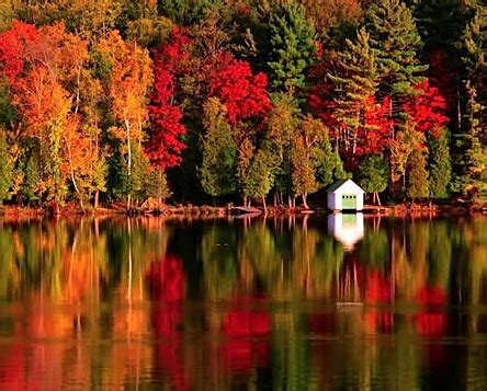 The Best Places to See Fall Foliage in New Hampshire's Lakes Region