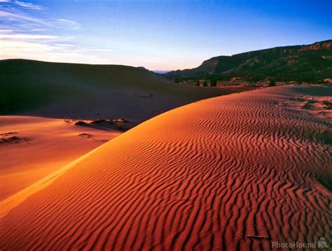 Image of Coral Pink Sand Dunes by Laurent Martres | 45757