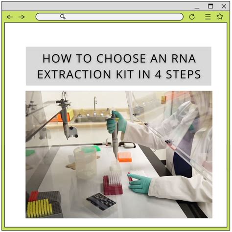 How to Choose an RNA Extraction Kit in 4 Steps | IBI Scientific