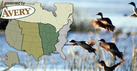 Waterfowl Migration Map