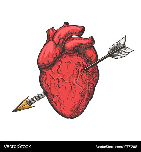 Human heart with arrow tattoo etching Royalty Free Vector