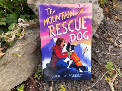 The Mountain Rescue Dog — Through the Bookshelf