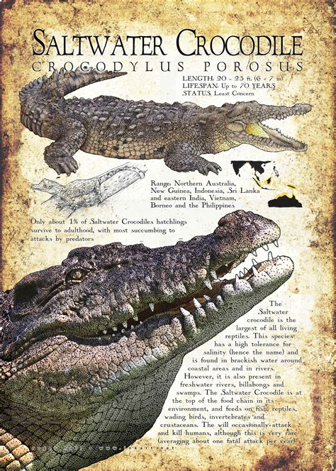 Saltwater Crocodile Habitat Map