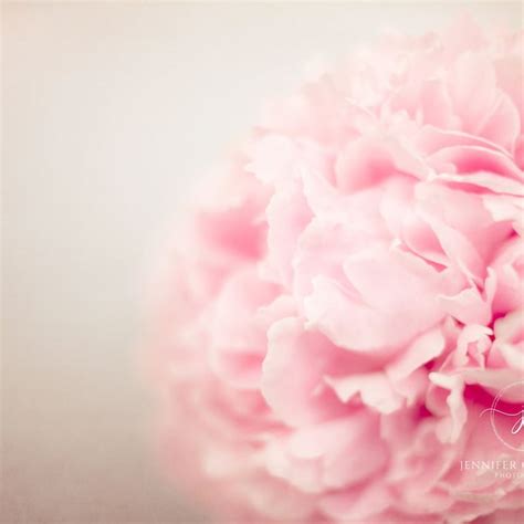 Peony Photography - Etsy