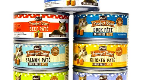 Healthy Wet Cat Food Brands - Cat Choices