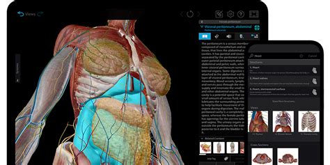 Today's Android game and app deals: Human Anatomy Atlas, more