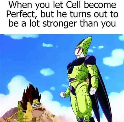 150+ Funny Dragon Ball Z Memes For True Super Saiyans – FandomSpot