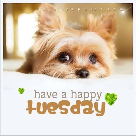 35 Awesome Happy Tuesday Pictures