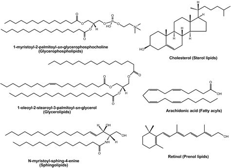 File:Lipid examples.png - Wikimedia Commons