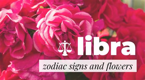 Zodiac Signs and Flowers: Libra - Bloomin' Blog