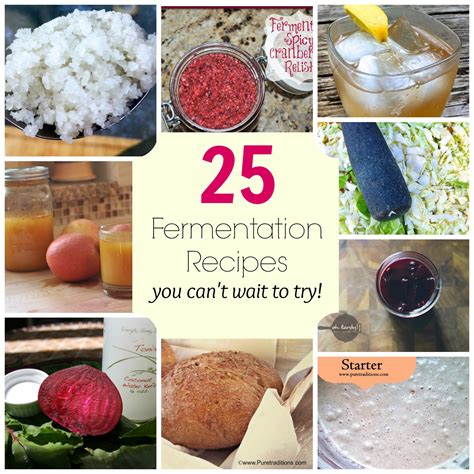 Fermentation recipes