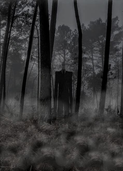 Slender Man Forest