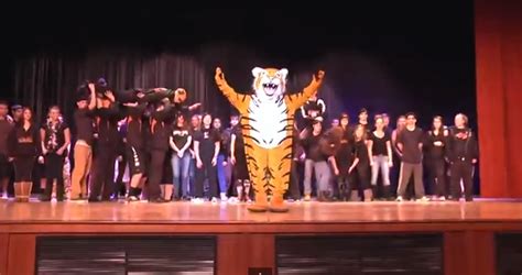 Marple Newtown High School Roars with Tiger Spirit | Marple Newtown, PA ...