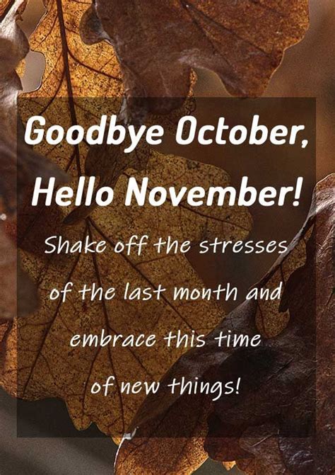 Goodbye October Hello November quotes cute Inspirational Positive Happy ...