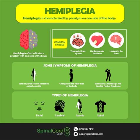 What Is Hemiplegia - Symptoms, Diagnosis, Treatment | Rxharun