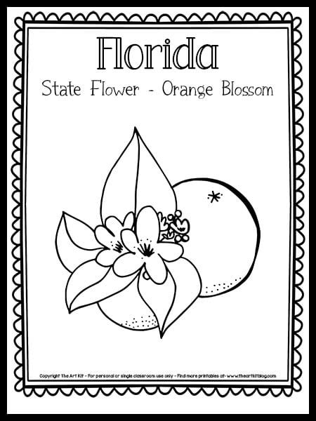 Florida State Flower Coloring Page (the Orange Blossom!) {FREE ...