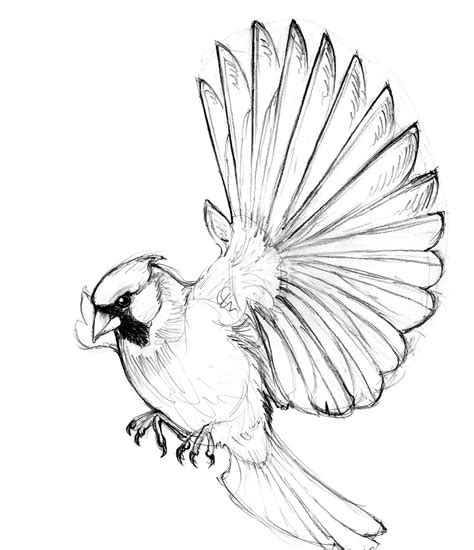 Birds In Flight Drawing at GetDrawings | Free download