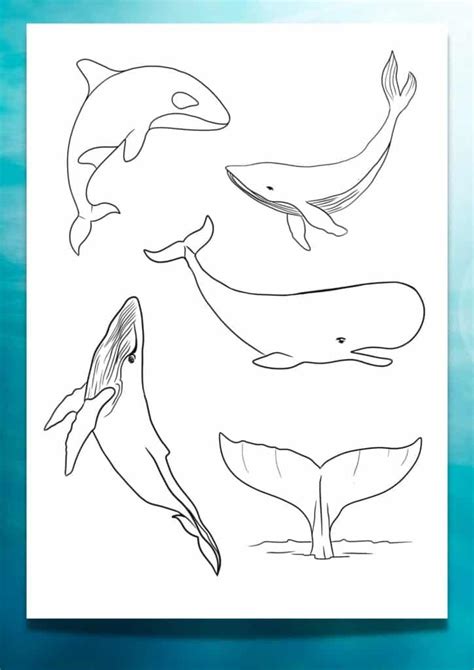 Whale Stencil Printable