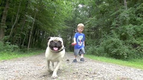 LITTLE BOY WALKING HIS DOG FOR THE FIRST TIIME - YouTube