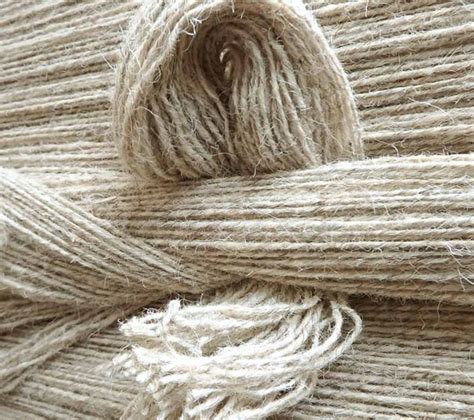 Wool Explained