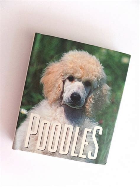 Poodle dogs educational history of poodles and care of poodles