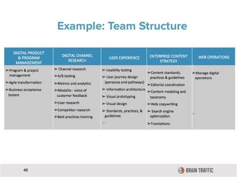 Example: Team Structure 46