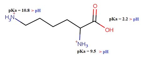 Which is the charge of lysine at pH 2? A) +2 B) -1 C) +1 D) 0 | Study.com