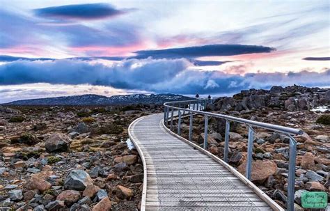 Mt Wellington Summit | Natural landmarks, Beautiful images, Landmarks