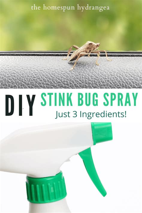 Homemade Stink Bug Repellent Spray