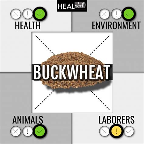 Buckwheat Benefits, Side Effects: Low Fodmap, Vegan, Alkaline?