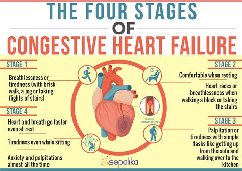 Congestive Heart Failure (CHF): Symptoms, Stages, Life Expectancy