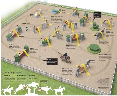 Horse Show Jumping Explained [Infographic] - Wellington Florida