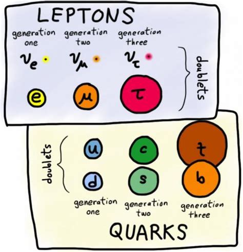 leptons and quarks