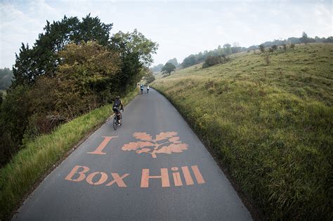 Cycling Box Hill: How to tackle the climb - Cycling Weekly