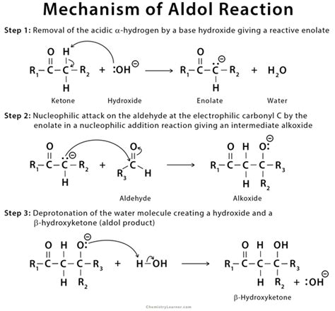 Condensation Reaction Mechanism