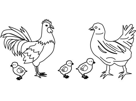 Chicken Coloring Pages - Free Printable Coloring Pages for Kids