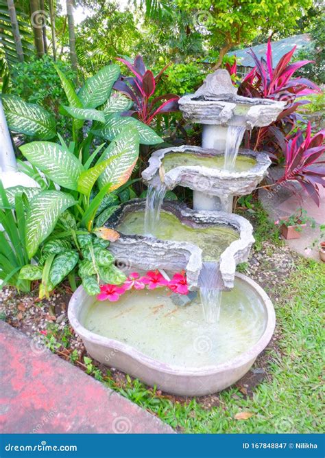 Water fountain with plants stock image. Image of decoration - 167848847