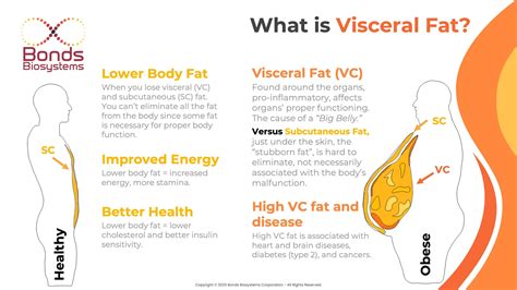 Did you know? Visceral Fat