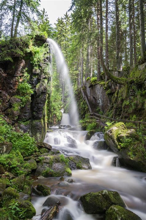 Another waterfall. - Another Black Forest classic | Waterfall ...