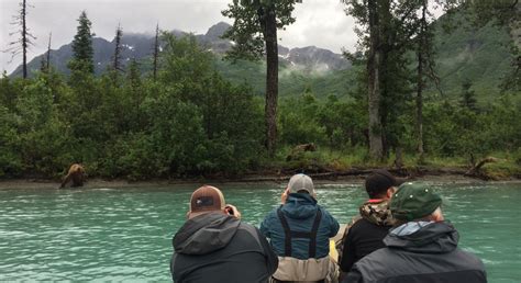 Guided Alaska Bear Viewing - Adventure Outfitters Alaska